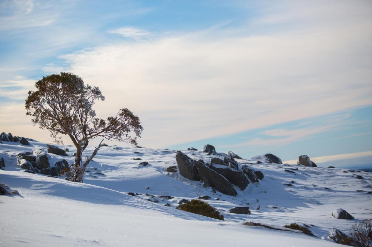 Aneeki Ski Lodge Thredbo Exterior photo